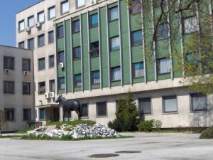 Otvoreni program - prof. dr. Muhamed Smajlović